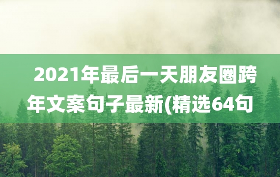 2021年最后一天朋友圈跨年文案句子最新(精选64句)