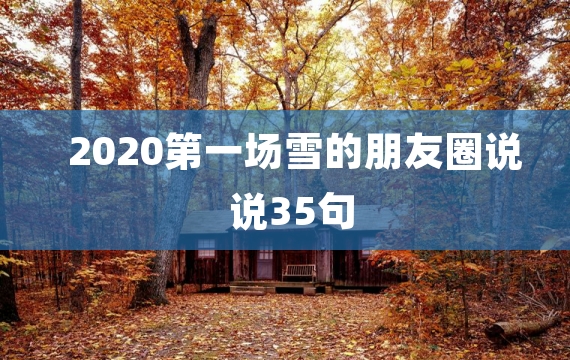 2020第一场雪的朋友圈说说35句