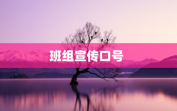 班组宣传口号